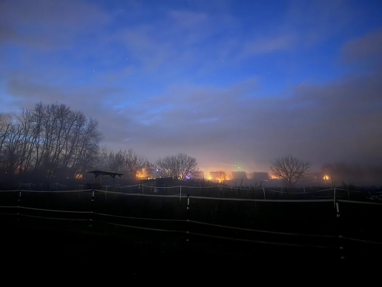 Ponyhof-Impression