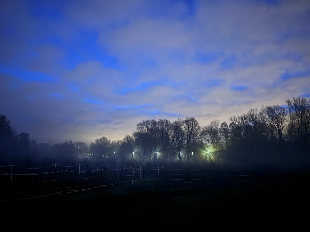 Ponyhof-Impression